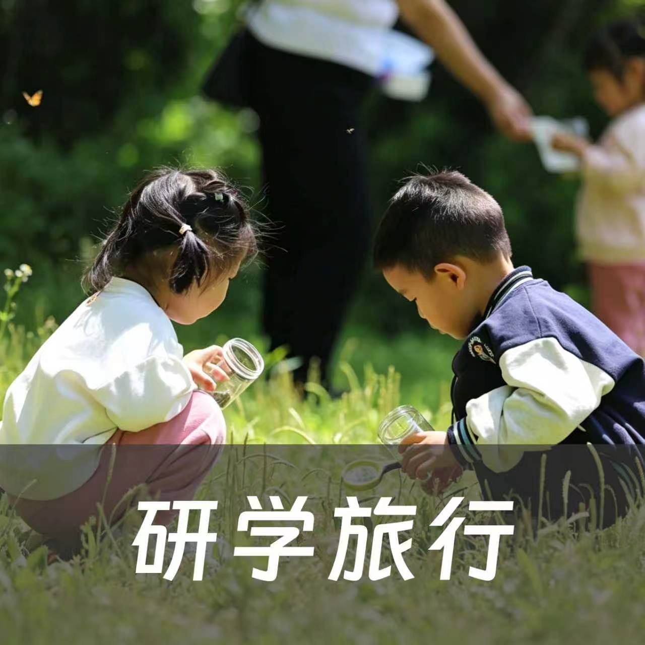 平安趣研学保障 头图